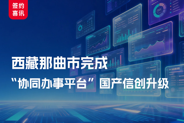 Nagqu City in Xizang Completes Domestic Innovation Upgrade for "Collaborative Service Platform"